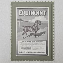 Equinoint1.jpg