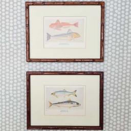 Herring pair 1.jpg