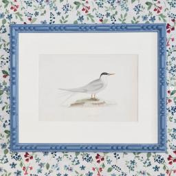 Beadandbobbin tern.jpg