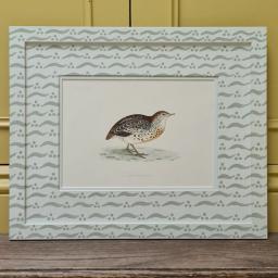 Quail in patterned mount.jpg