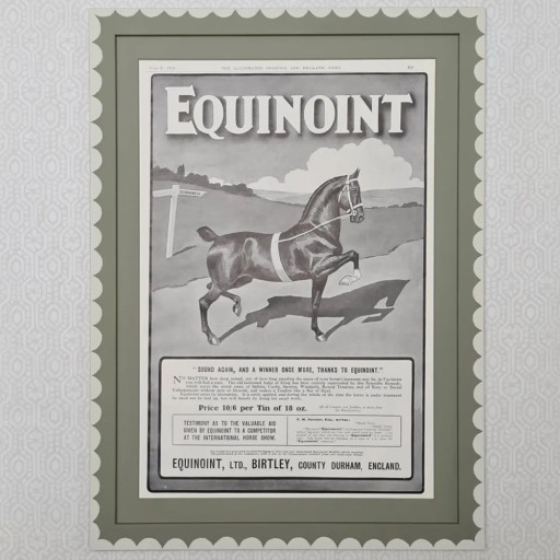 Equinoint1.jpg