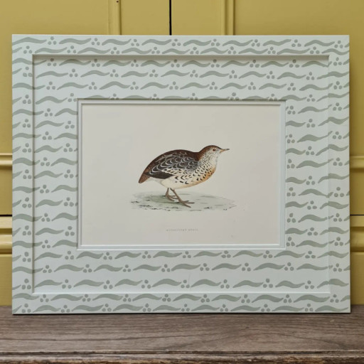 Quail in patterned mount.jpg