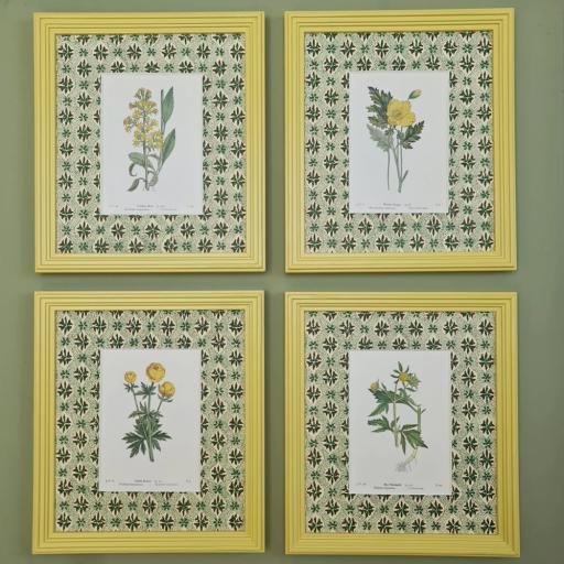 Set of 4 Botanical Vintage Prints in Decorative Yellow Mounts