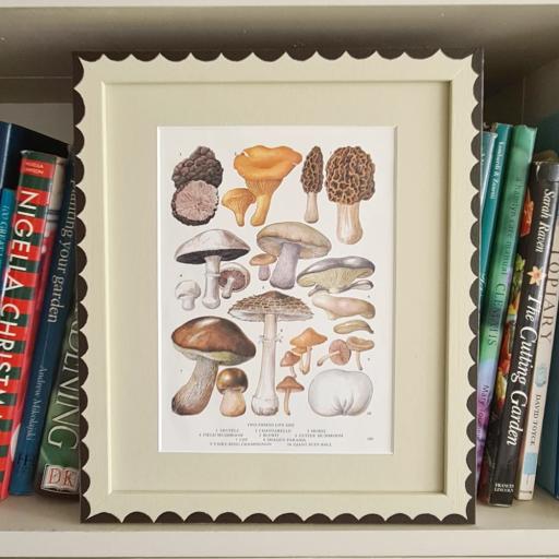 Vintage Print of Edible Mushrooms in Handpainted Frame