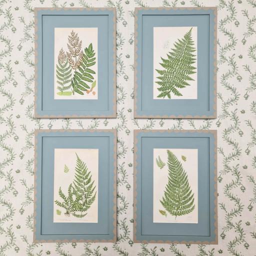 Set of 4 Vintage Fern Prints in Oval Room Blue Frames