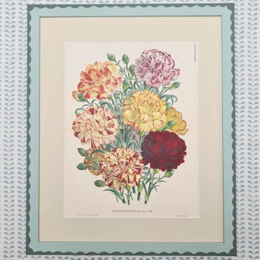 Dianthus Caryophyllus in Handpainted Frame