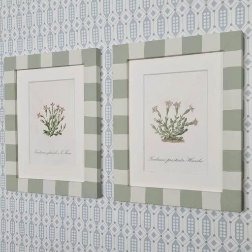 Pair of Gentian Prints in Handpainted Striped Frames