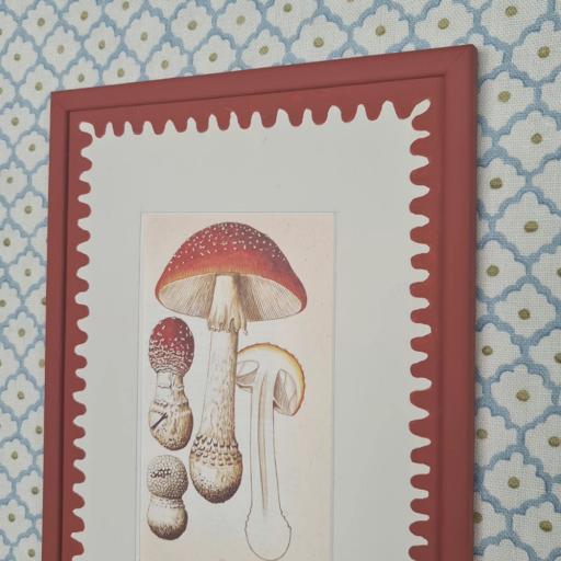 Vintage Print of Mushrooms in Handpainted Frame