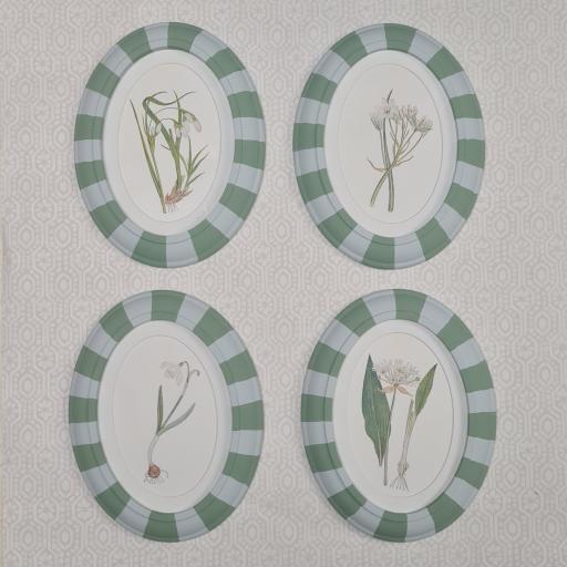 Set of 4 Botanical Prints in Striped, Oval Frames