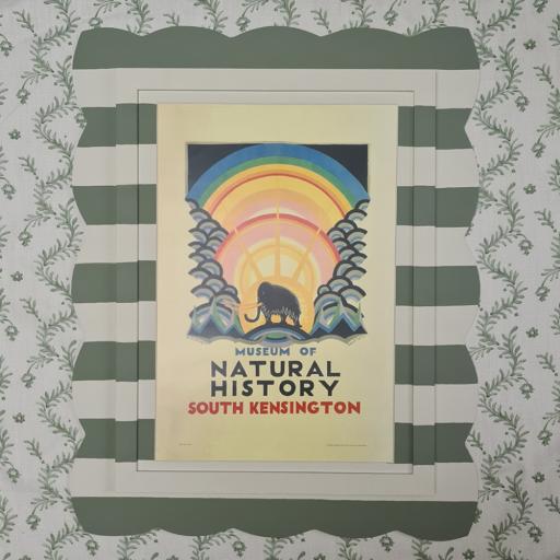 Museum of Natural History Print in Striped Shaped Frame