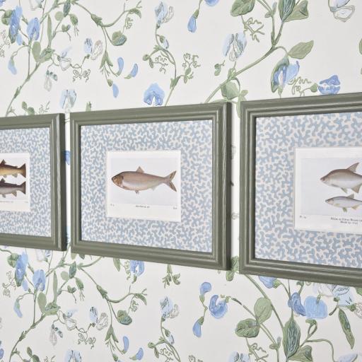 Set of 3 Fish Prints in Decorative Mounts