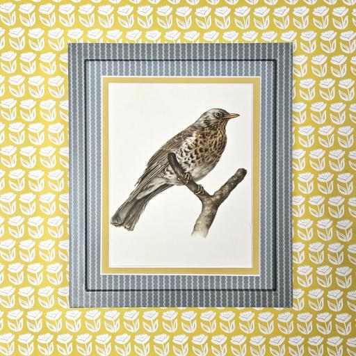 Bird in Green Bobbin Stripe Frame and Mount