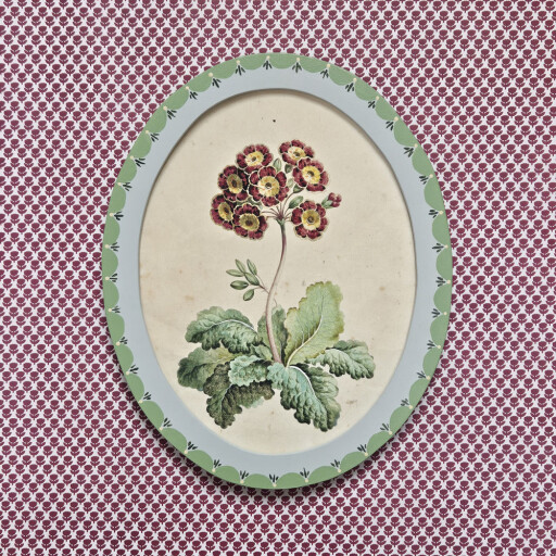 Auricula Oval Lithograph.jpg