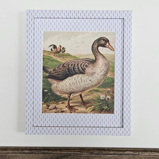 Vintage Duck Print in Wrapped Frame