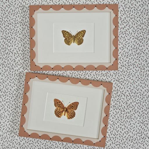 Pair of Vintage Butterfly Prints in Handpainted Scallop Frames