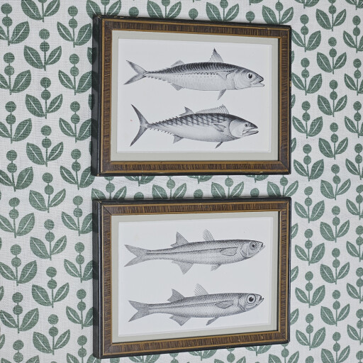 Fish Reclaimed frames 1.jpg