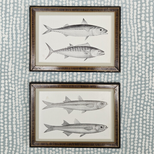 Fish Reclaimed frames 2.jpg