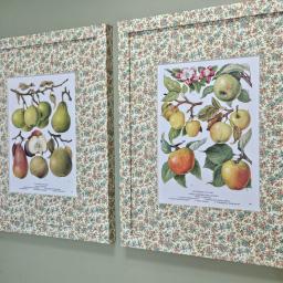 Apples and Pears 1.jpg