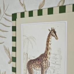 GiraffeGreenStripe 2.jpg