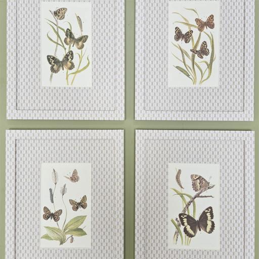 Set of 4 Butterfly Prints in Coffee Bean Wrapped Frames