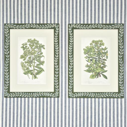 Pair of Vintage Prints of Euphorbia in Climber Handpainted Frames