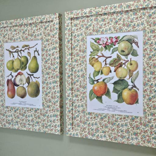 Pair of Vintage Fruit Prints in Ditsy Wrapped Frames