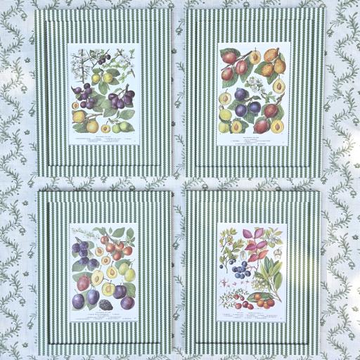 Set of 4 Fruit Prints in Bobbin Stripe Frames