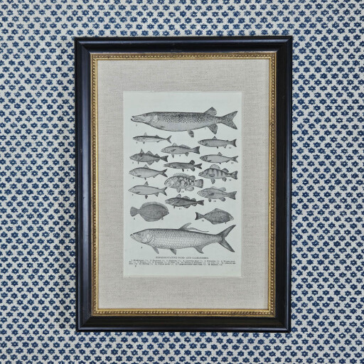 Fish in Black and Linen 1.jpg