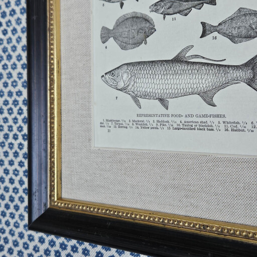 Fish in Black and Linen 2.jpg