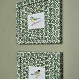 Bluetits2.jpg