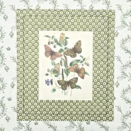 Wrappedbutterflies1.jpg