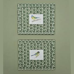 Bluetits1.jpg