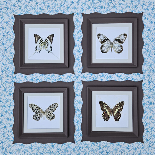 Wavyframebutterfliesscullery33.jpg