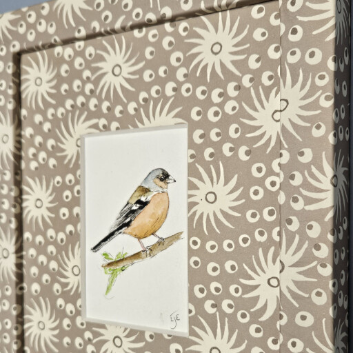 starburst chaffinch 2.jpg