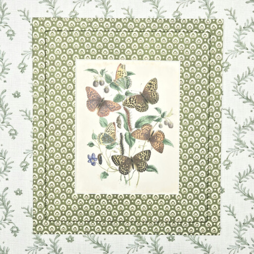 Wrappedbutterflies1.jpg