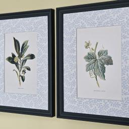 Botanical pair botanical mounts 1.jpg