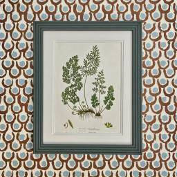 Ferns in green smoke reeded.jpg