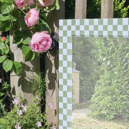 Checkers Roses.jpg