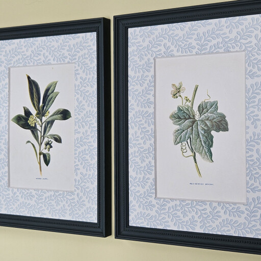 Botanical pair botanical mounts 1.jpg