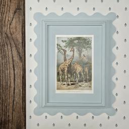 Wavy Giraffe Skylight.jpg