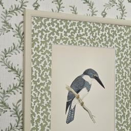 Kingfisher squiggle 2.jpg