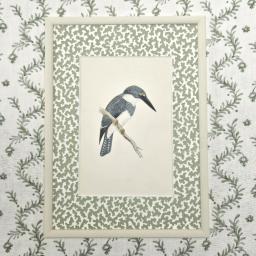 Kingfisher squiggle 1.jpg