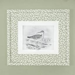 Squiggle bird pair BW 2.jpg