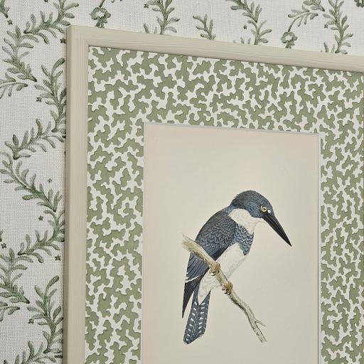 Kingfisher in Decorative Mount