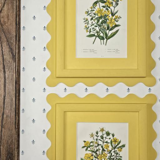 Pair of Botanical Prints in Yellow Wavy Frames