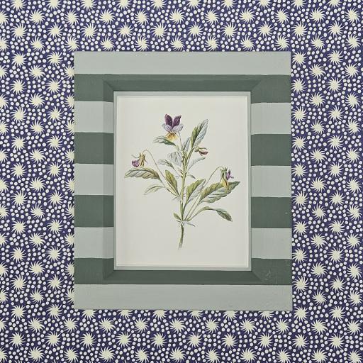 Mini Botanical Print in Striped Frame