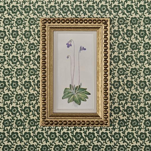 Mini Botanical Print in Gold Beaded Frame