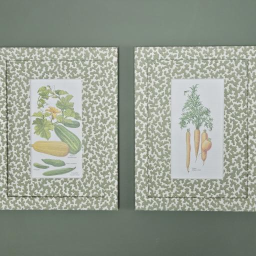 Pair of Vegetable Prints in Wrapped Frames