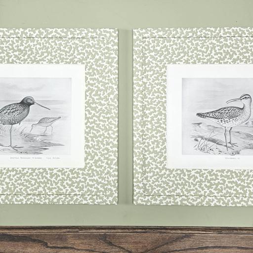 Pair of Antique Book Plates of Birds in Wrapped Frames
