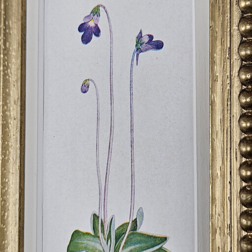 Mini gold beaded frame 2.jpg